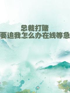 总裁打赌要追我怎么办在线等急