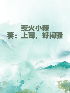 惹火小辣妻：上司，好闷骚