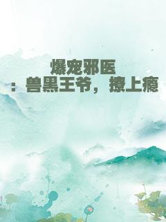 爆宠邪医：兽黑王爷，撩上瘾