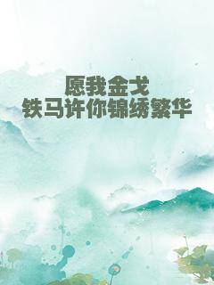 愿我金戈铁马许你锦绣繁华