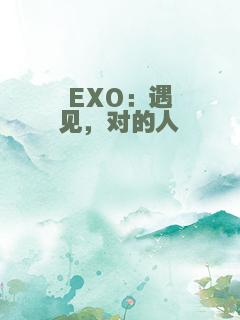 EXO：遇见，对的人
