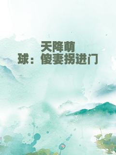 天降萌球：傻妻拐进门
