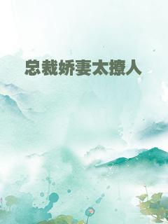 总裁娇妻太撩人