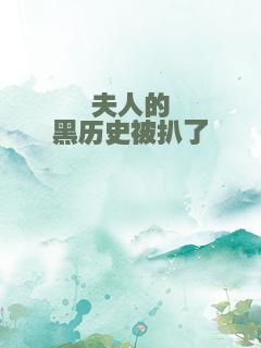 夫人的黑历史被扒了