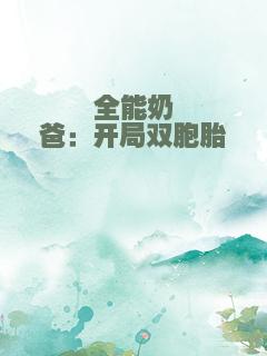 全能奶爸：开局双胞胎