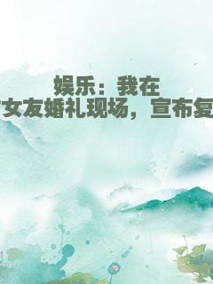 娱乐：我在前女友婚礼现场，宣布复出