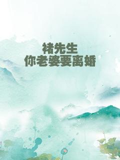 褚先生你老婆要离婚