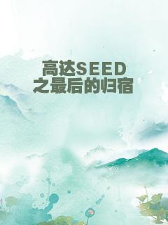 高达SEED之最后的归宿