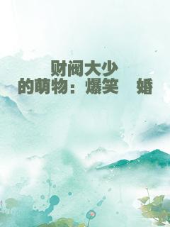 财阀大少的萌物：爆笑囧婚