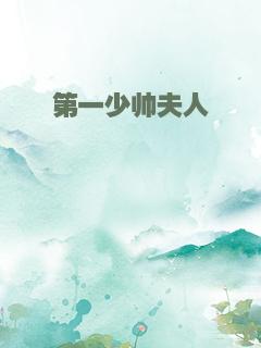 第一少帅夫人