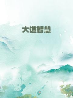 大道智慧