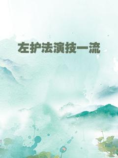 左护法演技一流