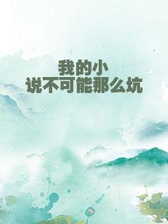 我的小说不可能那么坑