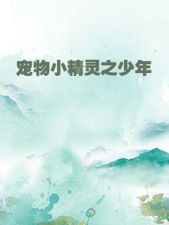 宠物小精灵之少年