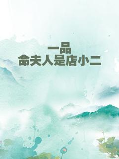 一品诰命夫人是店小二