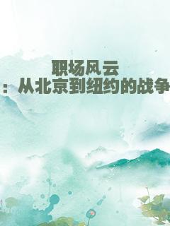 职场风云：从北京到纽约的战争