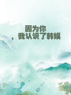 因为你，我认识了韩娱
