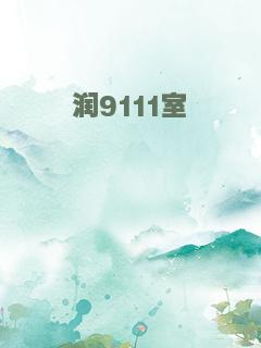 润9111室