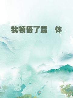 我顿悟了混沌体