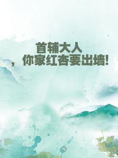 首辅大人，你家红杏要出墙！