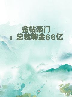 金钻豪门：总裁聘金66亿