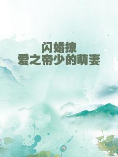 闪婚掠爱之帝少的萌妻