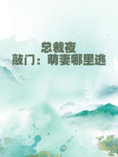 总裁夜敲门：萌妻哪里逃