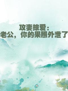 攻妻掠爱：老公，你的果照外泄了