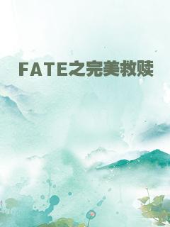 FATE之完美救赎