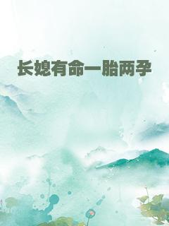 长媳有命一胎两孕