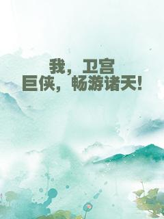 我，卫宫巨侠，畅游诸天！