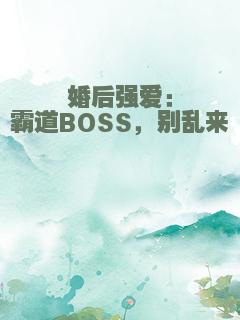 婚后强爱：霸道BOSS，别乱来