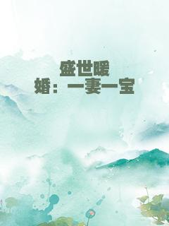 盛世暖婚：一妻一宝