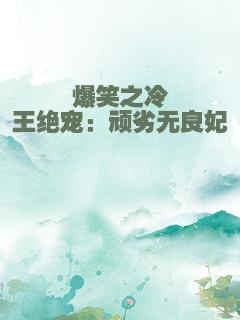 爆笑之冷王绝宠：顽劣无良妃