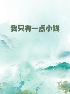 我只有一点小钱