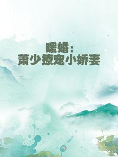 暖婚：萧少撩宠小娇妻