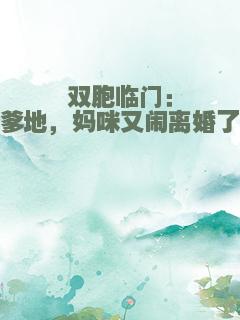 双胞临门：爹地，妈咪又闹离婚了