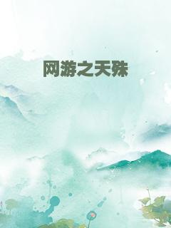 网游之天殊