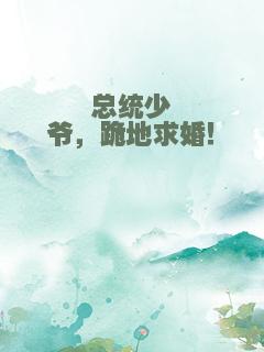 总统少爷，跪地求婚！