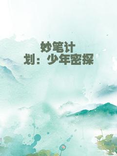 妙笔计划：少年密探