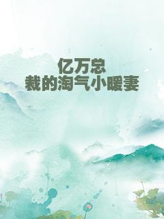 亿万总裁的淘气小暖妻