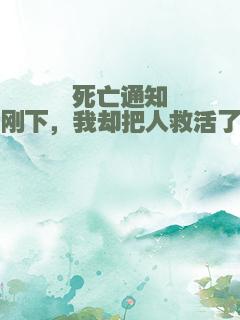 死亡通知刚下，我却把人救活了