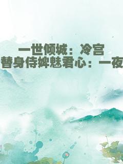 一世倾城：冷宫弃妃(替身侍婢魅君心：一夜弃妃)
