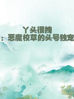 丫头很拽：恶魔校草的头号独宠