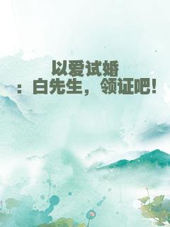 以爱试婚：白先生，领证吧！