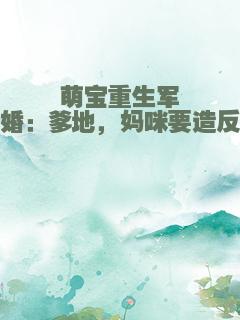 萌宝重生军婚：爹地，妈咪要造反