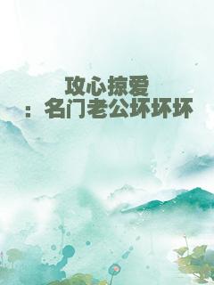 攻心掠爱：名门老公坏坏坏