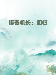 传奇机长：回归