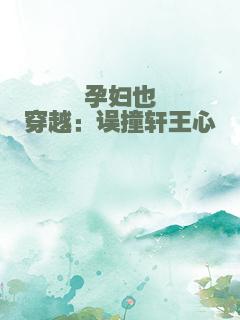 孕妇也穿越：误撞轩王心