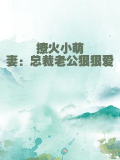 撩火小萌妻：总裁老公狠狠爱